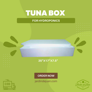 80 Tuna Boxes for Hydroponics (Inclusive of Shipping Fee)