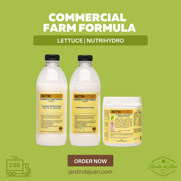 Commercial Farm Formula | Lettuce
