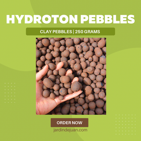 Hydroton Clay Pebbles