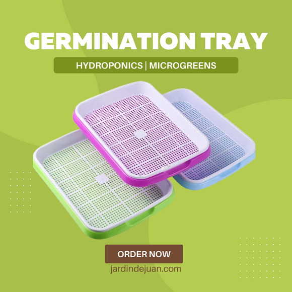 Germination Tray